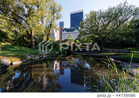 セントラルパークとビル群 44736086