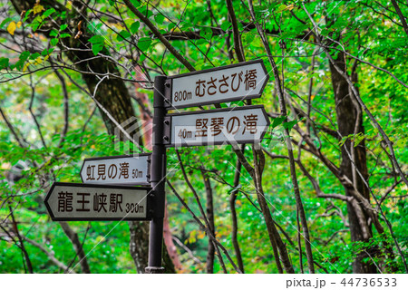 標識　龍王峡　秋 44736533