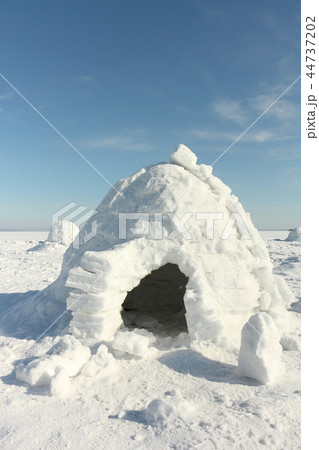 Igloo standing on a snowy glade in the winter Igloo standing on a snowy glade in the winter 44737202
