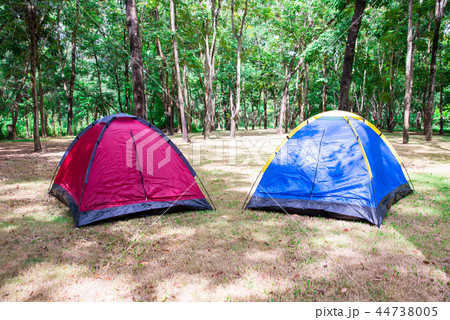 Camping and tent under tree in morning sunrise. Camping and tent under tree in morning sunrise. 44738005