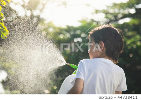 Asian child watering tree with spraying fertilizer 44738411