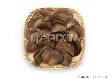 黒あわび茸 黒あわび茸 44738930