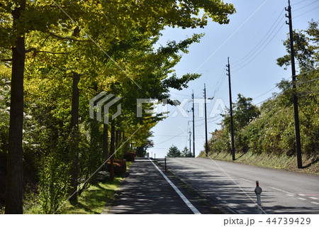 日本の秋の高原の歩道 日本の秋の高原の歩道 44739429