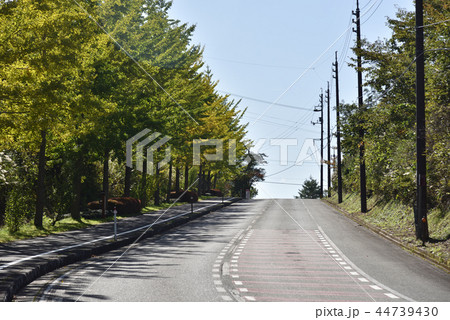 日本の秋の高原の歩道 44739430
