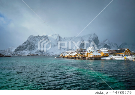 Yellow rorbu houses, Lofoten islands, Norway Yellow rorbu houses, Lofoten islands, Norway 44739579