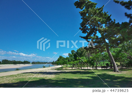 武庫川河川敷緑地 44739625