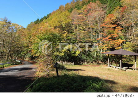 大平峠 長野県飯田市 大平峠 長野県飯田市 44739637