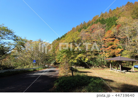 大平峠 長野県飯田市 大平峠 長野県飯田市 44739640
