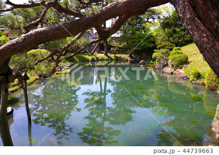 致道博物館　酒井氏庭園 44739663