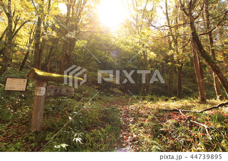 兀岳登山口 大平峠 長野県飯田市 兀岳登山口 大平峠 長野県飯田市 44739895