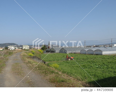 土手の道（春） 44739900