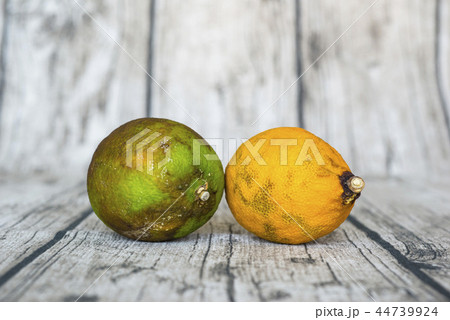 rotten green and yellow lemon put on wooden table 44739924