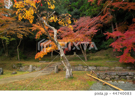 正暦寺の紅葉 44740083