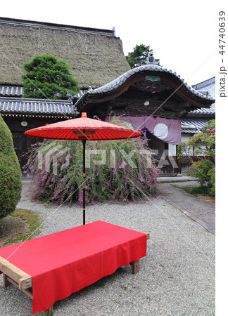 四国別格二十霊場第16番札所「萩原寺」萩まつり（客殿） 44740639
