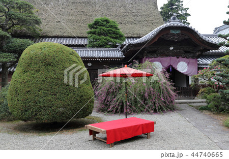 四国別格二十霊場第16番札所「萩原寺」萩まつり（客殿） 44740665