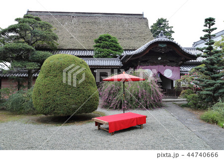 四国別格二十霊場第16番札所「萩原寺」萩まつり（客殿） 44740666