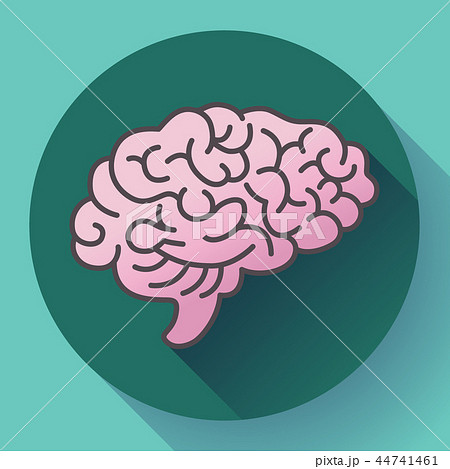 Human brain icon, symbol of intellect, study, learning and education. 44741461