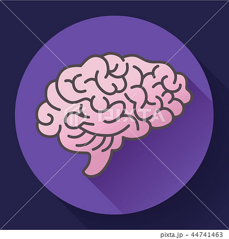 Human brain icon, symbol of intellect, study, learning and education. 44741463
