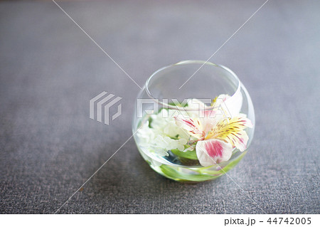 花水盆 花水盆 44742005