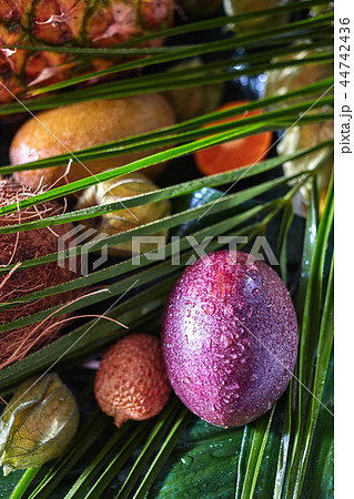 Close-up passion fruit in water droplets on a tropical baskground with palm leaves. Close-up passion fruit in water droplets on a tropical baskground with palm leaves. 44742436