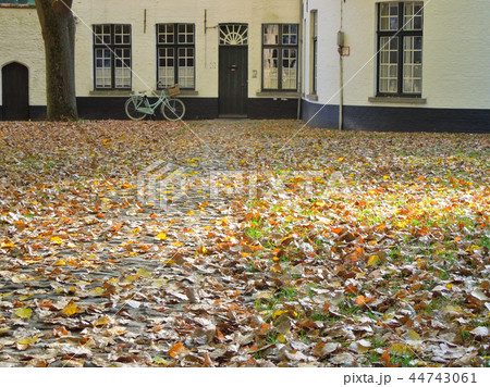 ブリュージュ ブリュージュ 44743061