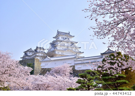 姫路城 白鷺城 世界遺産姫路城 国宝姫路城 日本百名城 日本の風景の写真素材
