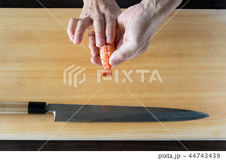 鮨を握る 44743439