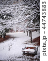 目 一目 冬 44743883