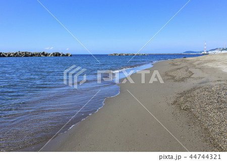 新潟荒浜海岸 春景 新潟荒浜海岸 春景 44744321