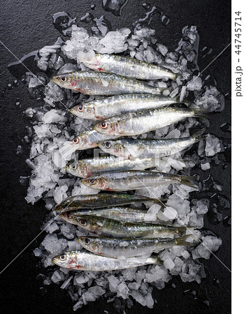 Raw sardine on ice offered Raw sardine on ice offered 44745714