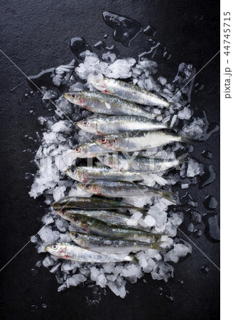 Raw sardine on ice offered  44745715