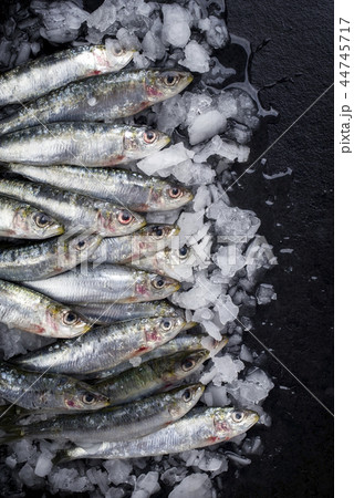 Raw sardine on ice offered  44745717