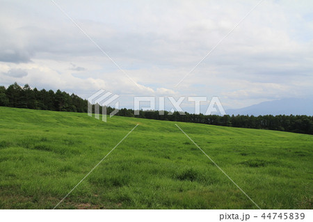 清里の草原 清里の草原 44745839