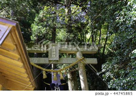 金持神社 44745865