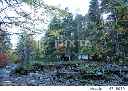 空沼岳登山コース風景（登山口） 44746050