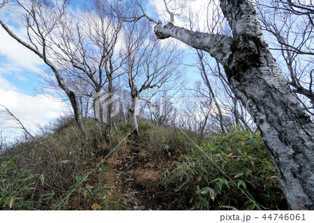 空沼岳登山コース風景（山頂付近） 44746061