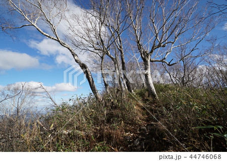 空沼岳登山コース風景（山頂付近） 44746068