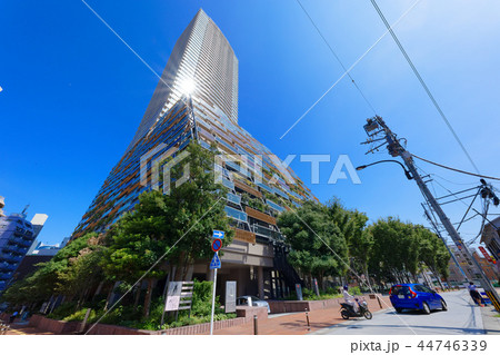 豊島区役所　マンション一体型　としまエコミューゼタウン　光芒 44746339