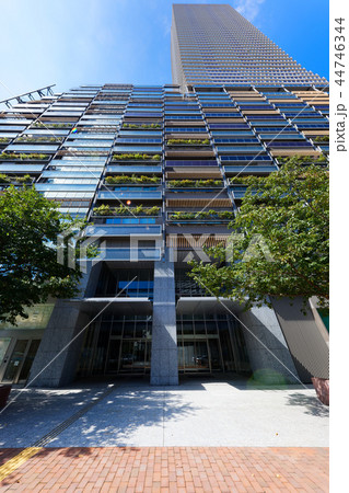 豊島区役所　マンション一体型　としまエコミューゼタウン 44746344