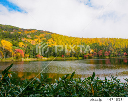 秋の八ヶ岳 秋の八ヶ岳 44746384