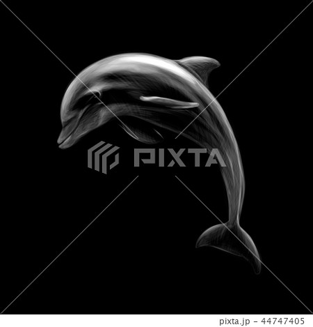 Dolphin on a black background, hand drawn 44747405