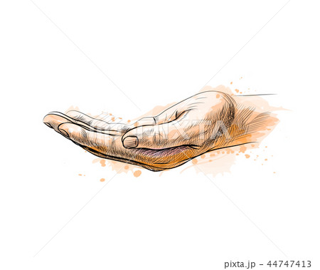 Open palm hand gesture Open palm hand gesture 44747413
