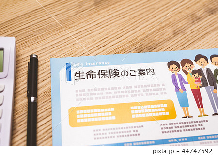 パンフ パンフ 44747692