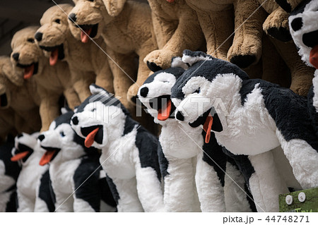 Soft toy dogs in the store close-up Soft toy dogs in the store close-up 44748271