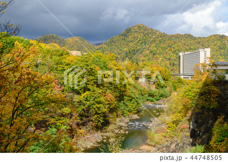 colourful forest on autumn season in Jozankei 44748505