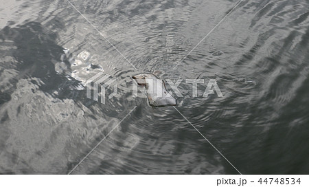 Dirty plastic bag floating in clean water 44748534