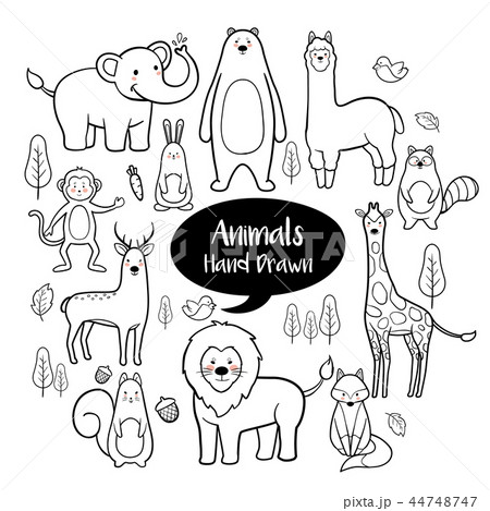 Animals hand drawn doodles set 44748747