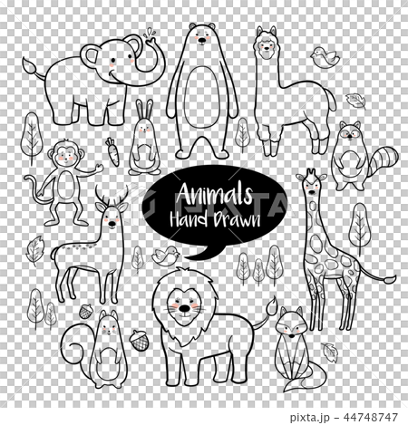Animals hand drawn doodles set 44748747