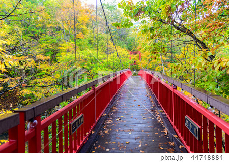 Jozankei Futami Suspension Bridge in Autumn forest 44748884