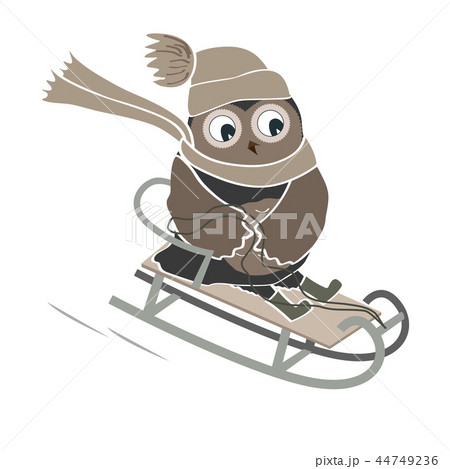 Funny and cute sledging owl. New Year and Christmas card. Vector illustration Funny and cute sledging owl. New Year and Christmas card. Vector illustration 44749236